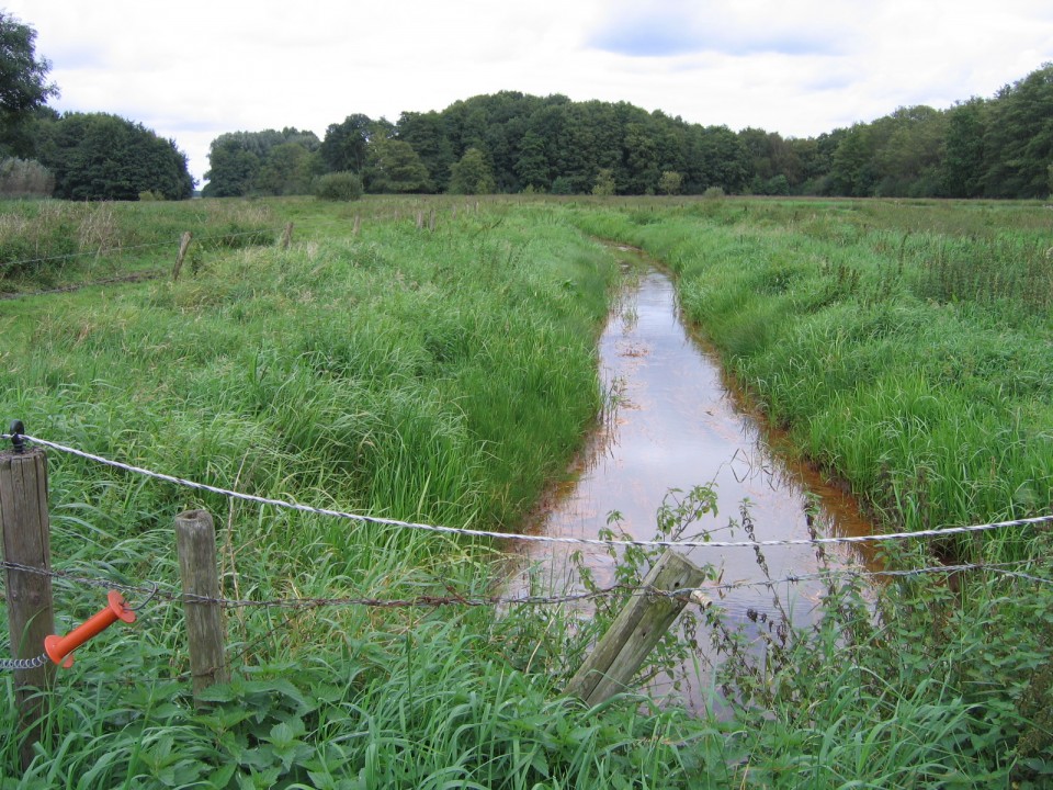 Wandelpad door het Loobeekdal bij De Martiene Plats